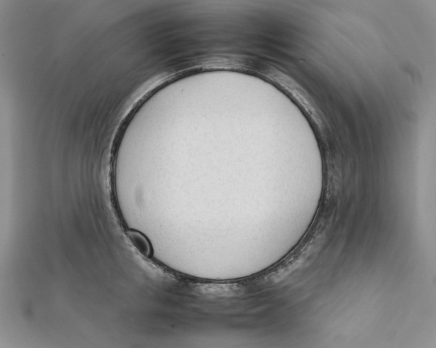 X0000112050853200909010941