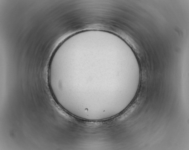 X0000112050854200909010941