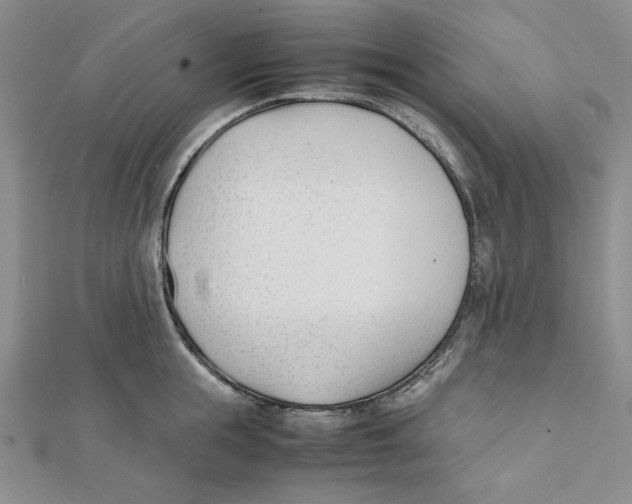 X0000112050855200909010941