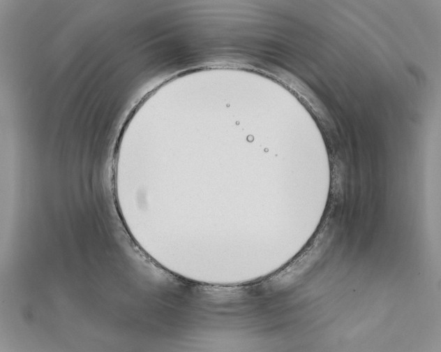 X0000112050856200909010941