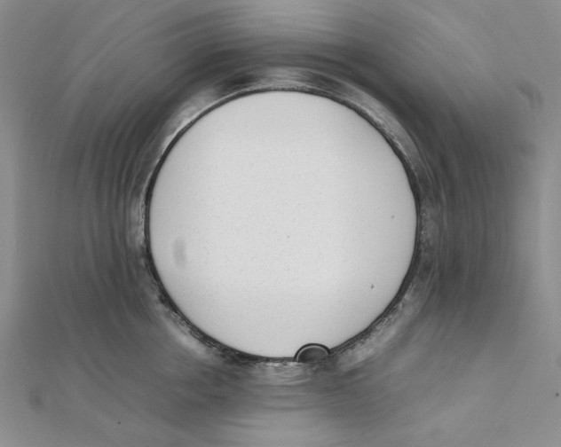 X0000112050858200909010941
