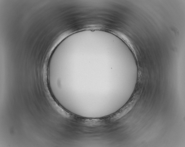 X0000112050859200909010941
