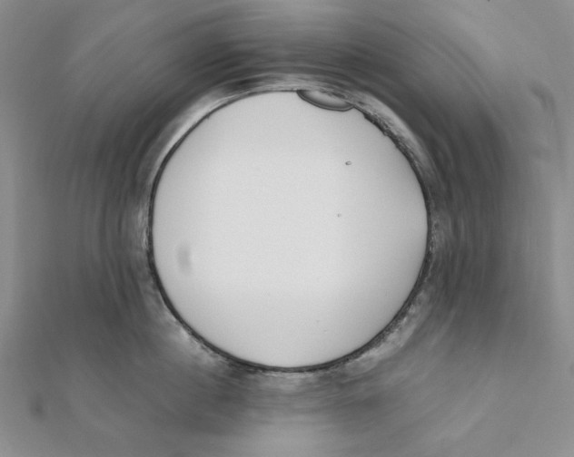 X0000112050860200909010941