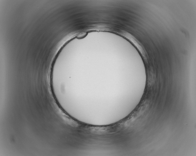 X0000112050861200909010941