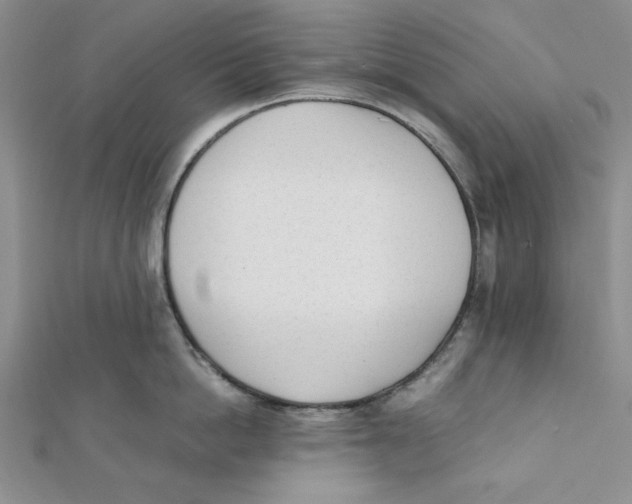 X0000112050862200909010941