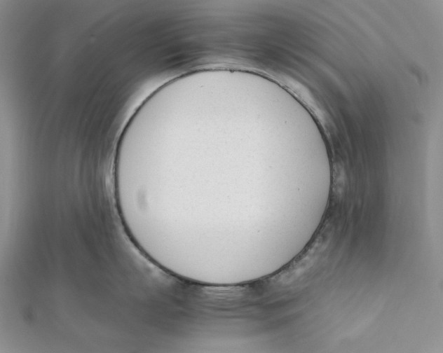 X0000112050863200909010941