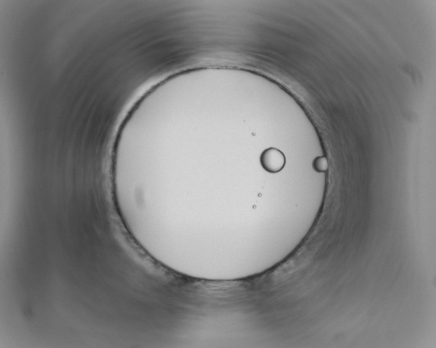 X0000112050864200909010941