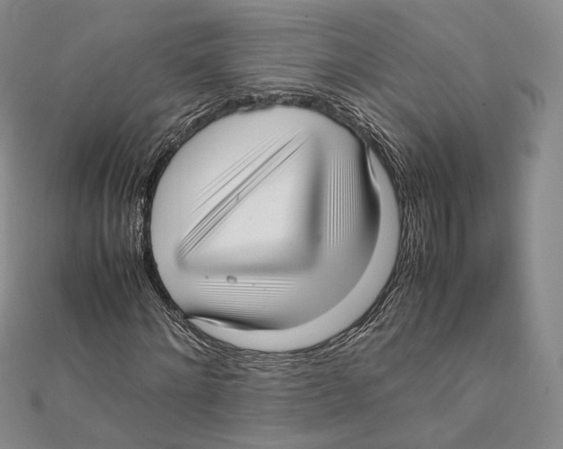 X0000112050868200909010940
