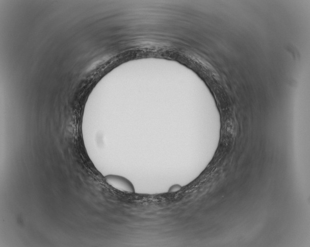 X0000112050869200909010940
