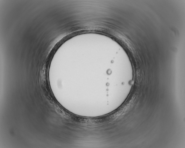 X0000112050875200909010940