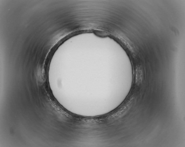 X0000112050876200909010940