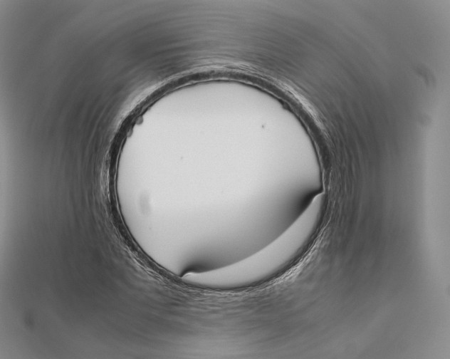 X0000112050877200909010940