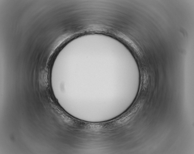 X0000112050878200909010940