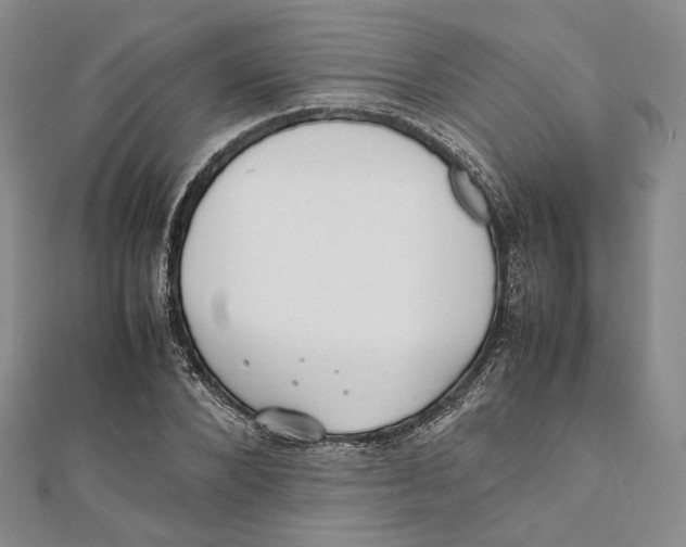 X0000112050880200909010940