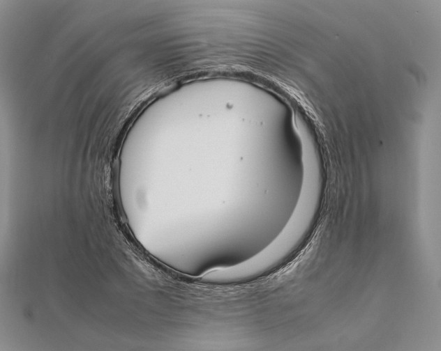 X0000112050881200909010940