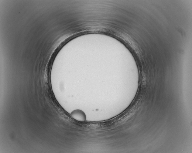 X0000112050883200909010940