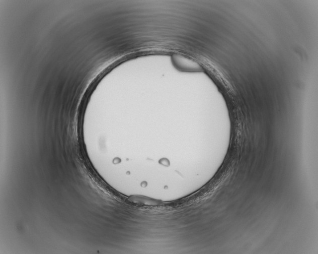 X0000112050884200909010940