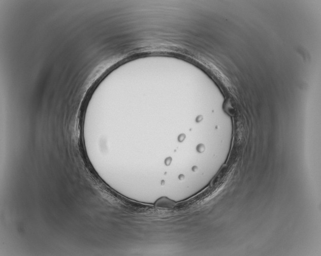X0000112050885200909010940
