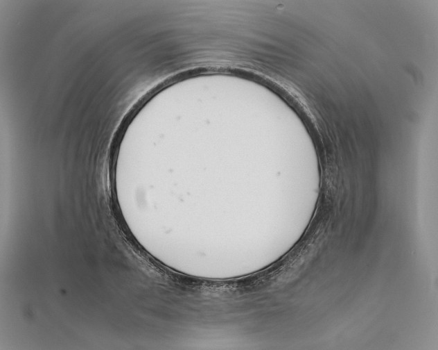 X0000112050887200909010940