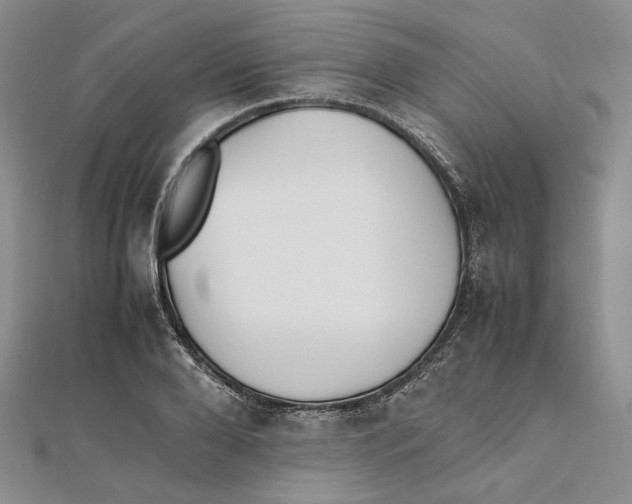 X0000112050888200909010940