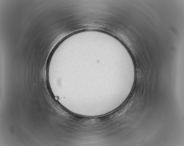 X0000112050891200909010940