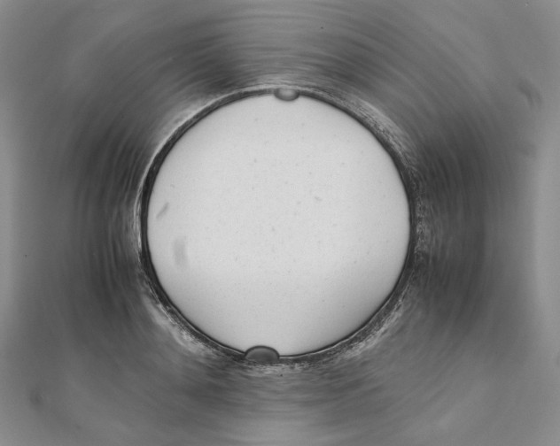 X0000112050892200909010940