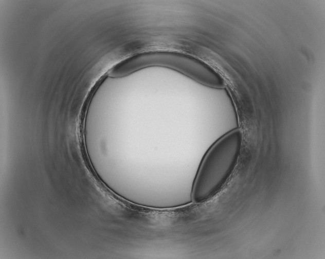 X0000112050893200909010940