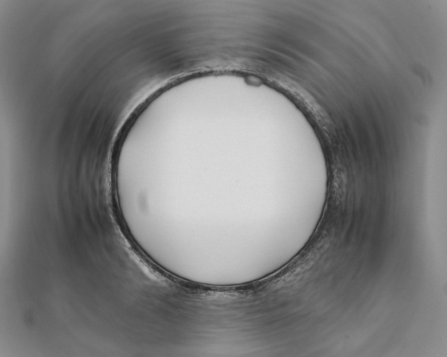 X0000112050894200909010940