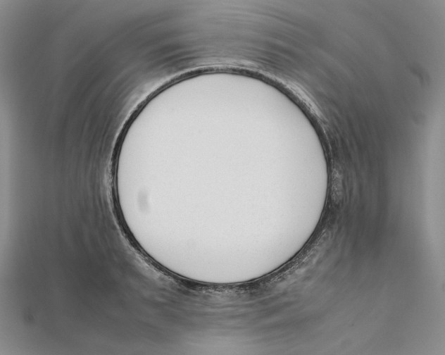 X0000112050895200909010940