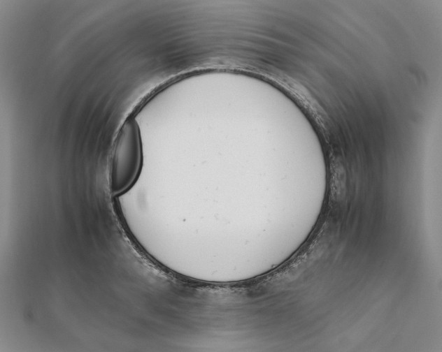 X0000112050896200909010940