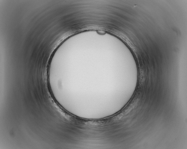 X0000112050898200909010940