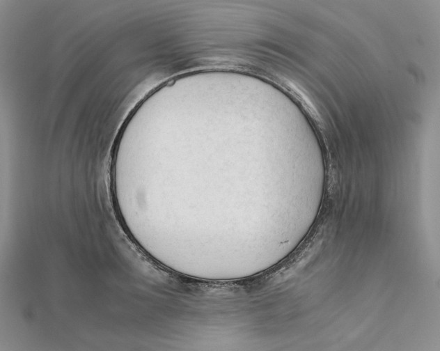 X0000112050899200909010940