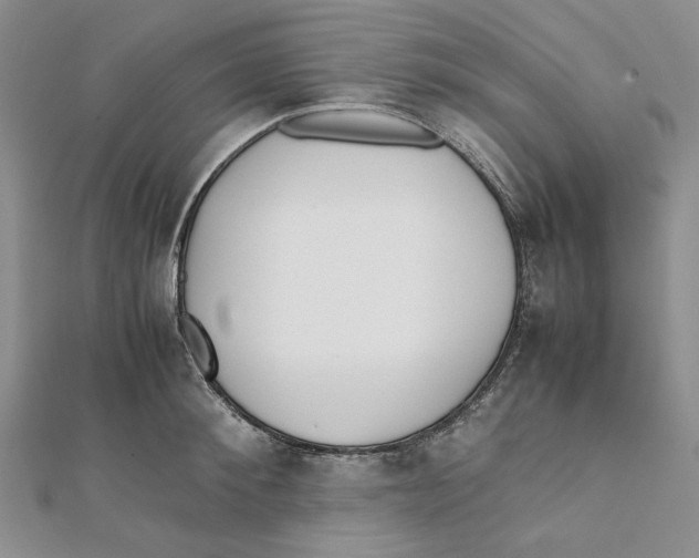 X0000112050900200909010940