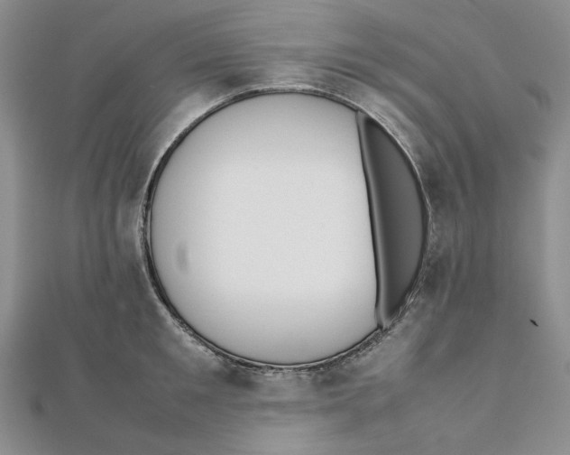 X0000112050901200909010940
