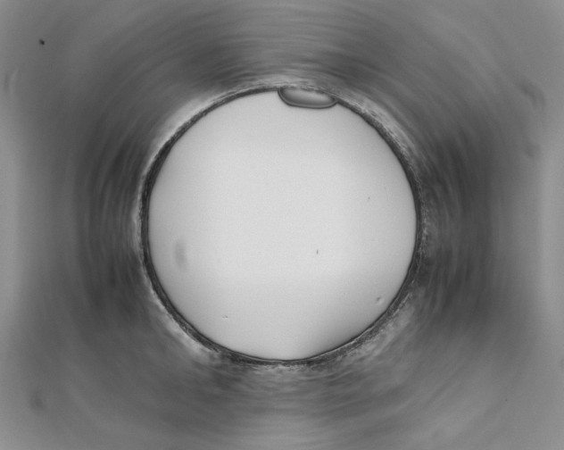 X0000112050902200909010940