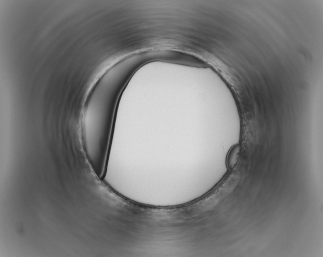 X0000112050904200909010940
