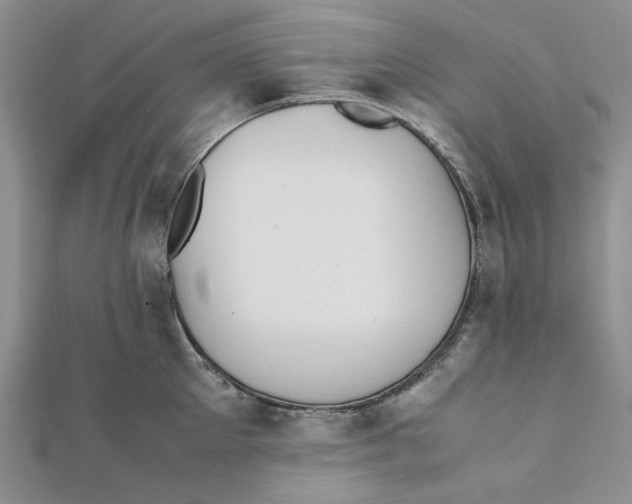 X0000112050905200909010940