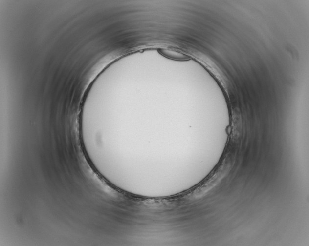 X0000112050906200909010940