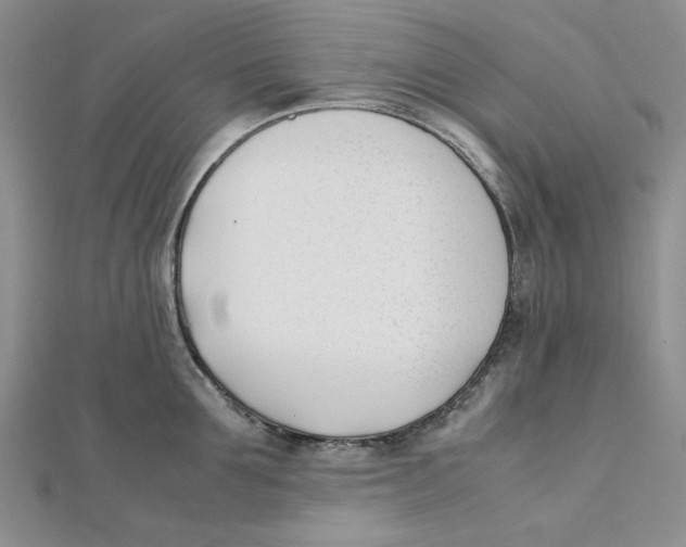 X0000112050907200909010940