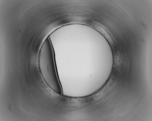 X0000112050908200909010940