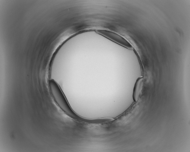 X0000112050909200909010940