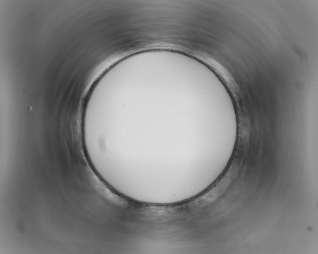 X0000112050910200909010940