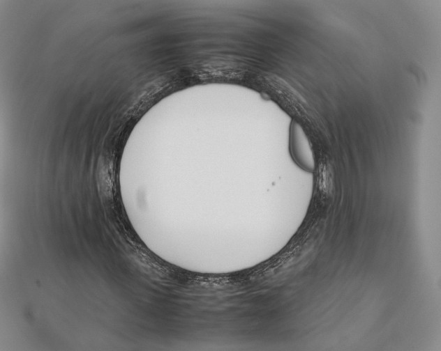 X0000112050915200909010939