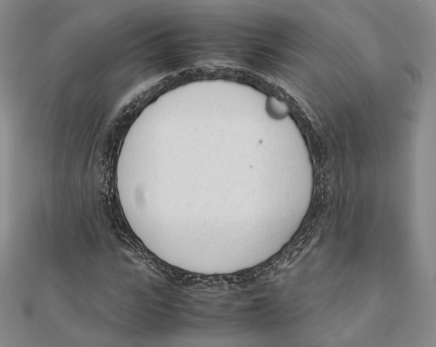 X0000112050919200909010939