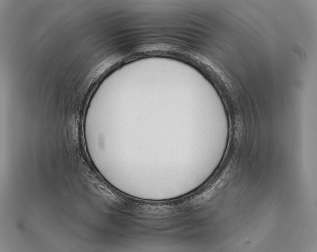 X0000112050921200909010939