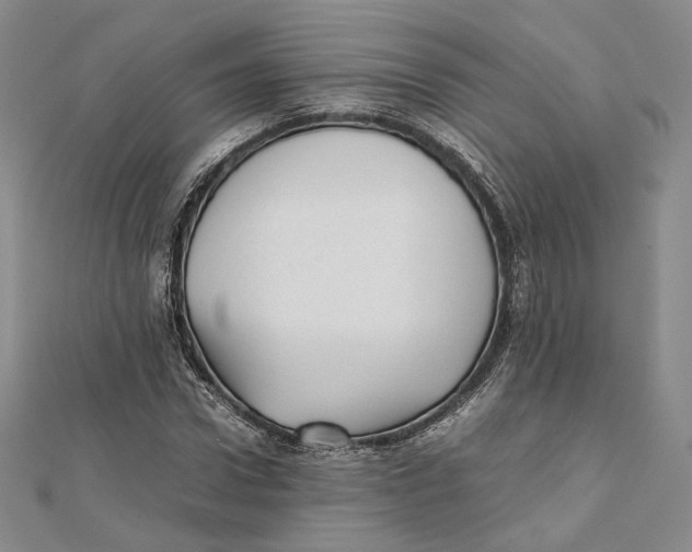 X0000112050922200909010939