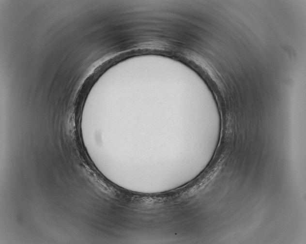 X0000112050923200909010939