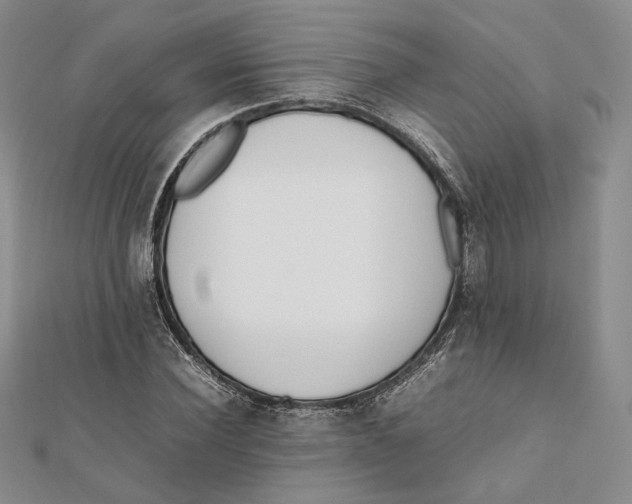 X0000112050924200909010939