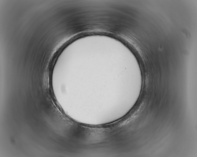 X0000112050925200909010939
