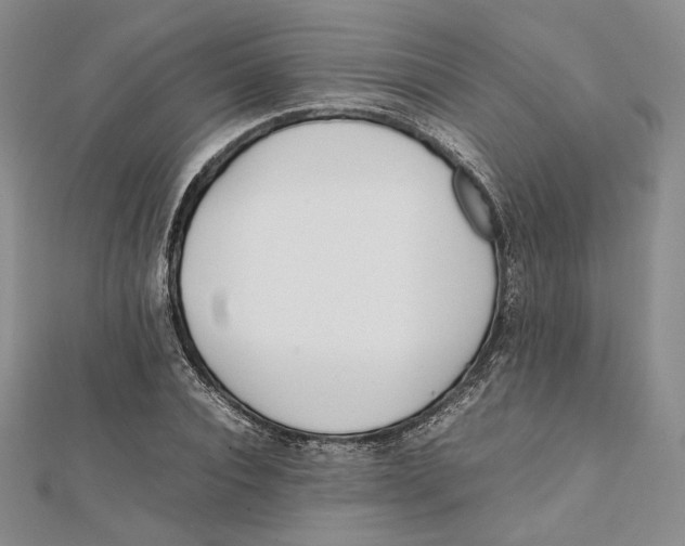 X0000112050928200909010939